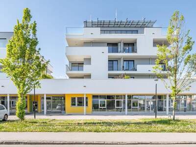 Gewerbeobjekt kaufen in 4490 St. Florian