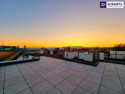 Terrassenwohnung kaufen in 1230 Wien (Bild 5)