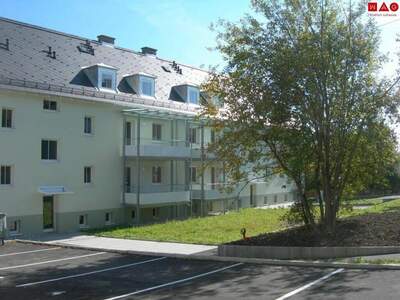 Mietwohnung in 4843 Ampflwang