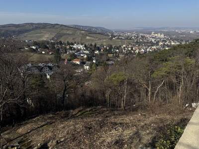 Grundstück kaufen in 3400 Klosterneuburg (Bild 2)