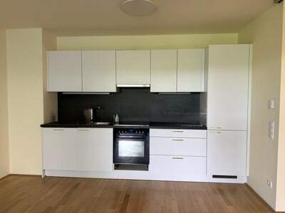 Terrassenwohnung mieten in 1130 Wien (Bild 4)