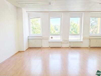 Gewerbeobjekt mieten in 1110 Wien (Bild 2)