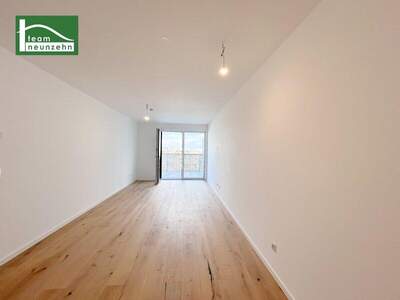 Terrassenwohnung kaufen in 1220 Wien (Bild 1)