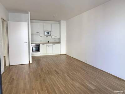 Wohnung mieten in 1060 Wien