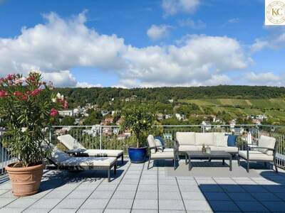 Haus kaufen in 1190 Wien