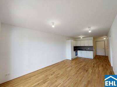 Terrassenwohnung mieten in 1110 Wien (Bild 1)