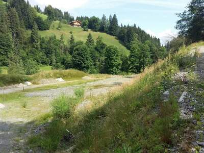 Grundstück kaufen in 6361 Kelchsau