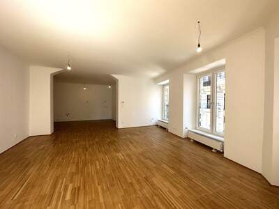 Gewerbeobjekt mieten in 1010 Wien (Bild 5)