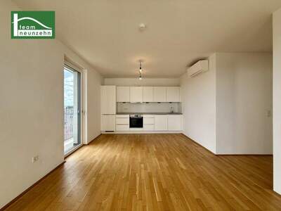 Terrassenwohnung mieten in 1220 Wien (Bild 1)