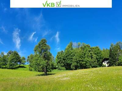 Grundstück kaufen in 4701 Bad Schallerbach