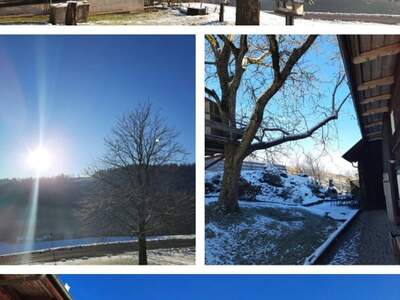 Haus kaufen in 4682 Geboltskirchen (Bild 3)