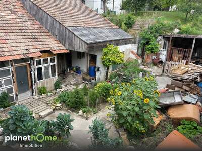 Haus kaufen in 2464 Göttlesbrunn (Bild 3)