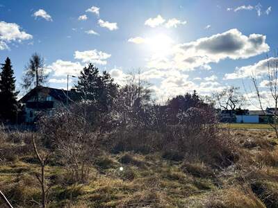 Grundstück kaufen in 2230 Gänserndorf (Bild 3)