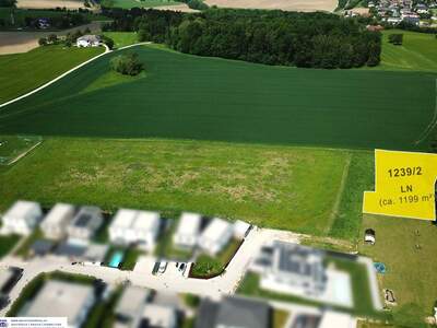 Grundstück kaufen in 4223 Ruhstetten (Bild 2)