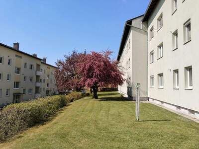 Wohnung kaufen in 4490 Sankt Florian (Bild 1)