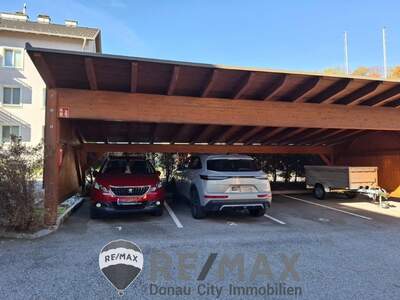 Terrassenwohnung kaufen in 2840 Grimmenstein (Bild 4)