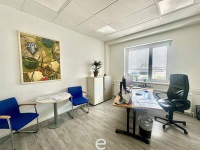 Gewerbeobjekt kaufen in 1230 Wien (Bild 3)