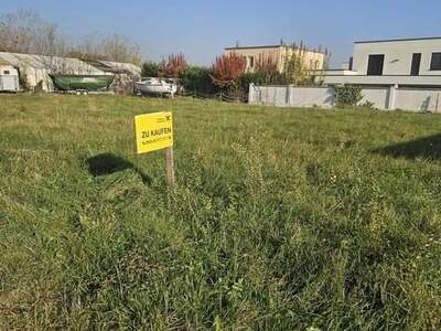 Grundstück kaufen in 7100 Neusiedl