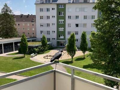 Eigentumswohnung provisionsfrei in 4040 Linz