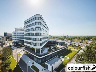 Gewerbeobjekt mieten in 1300 Schwechat (Bild 3)