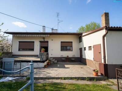 Haus kaufen in 2272 Ringelsdorf