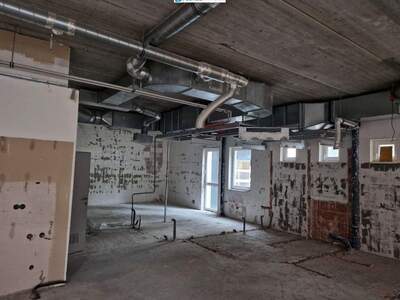 Gewerbeobjekt mieten in 2870 Aspang (Bild 5)