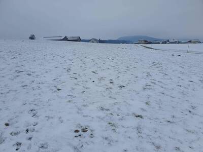 Gewerbeobjekt kaufen in 5211 Friedburg
