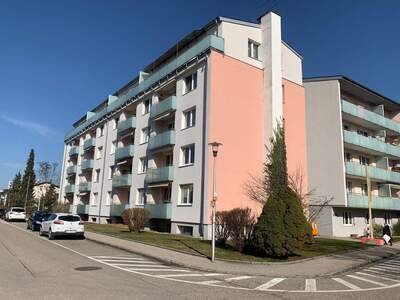 Wohnung kaufen in 4910 Ried