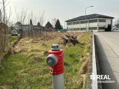 Grundstück kaufen in 6858 Schwarzach (Bild 4)