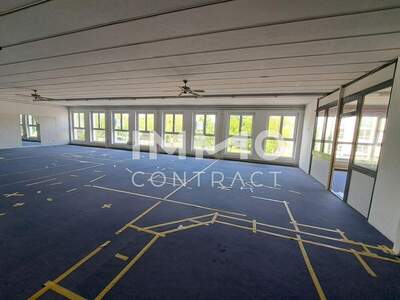 Gewerbeobjekt mieten in 4053 Ansfelden (Bild 4)