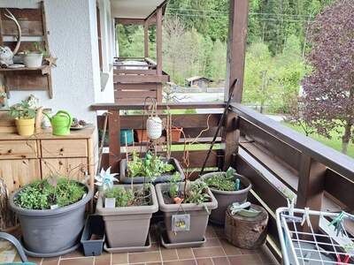 Altbauwohnung mit Balkon kaufen in 6353 Going (Bild 4)