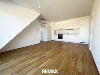 Terrassenwohnung mieten in 1230 Wien (Bild 3)