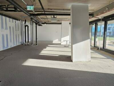 Gewerbeobjekt mieten in 1220 Wien