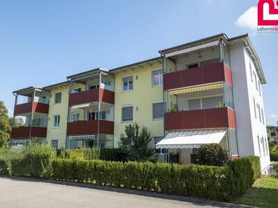 Wohnung mieten in 4600 Schleißheim (Bild 3)