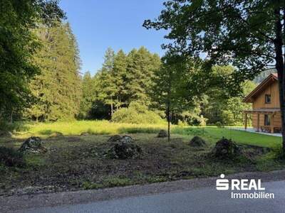 Grundstück kaufen in 4575 Roßleithen (Bild 4)