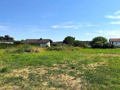 Grundstück kaufen in 8403 Bachsdorf (Bild 1)