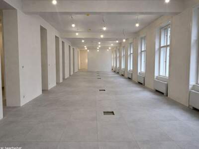 Gewerbeobjekt mieten in 1010 Wien (Bild 2)