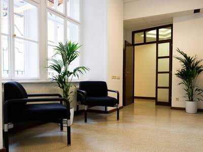 Gewerbeobjekt mieten in 1010 Wien (Bild 5)