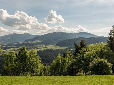 Chalet kaufen in 6305 Itter (Bild 4)