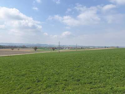 Grundstück kaufen in 4751 Dorf