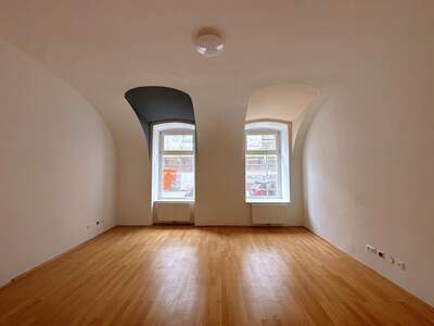 Büro / Praxis mieten in 1080 Wien (Bild 4)