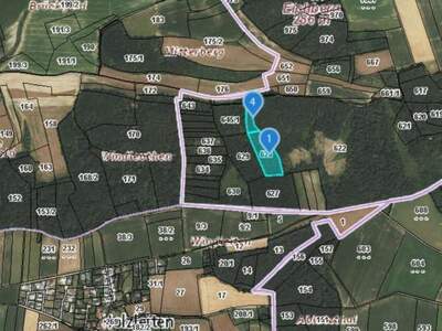 Jagd- und Forstwirtschaft kaufen in 3452 Atzenbrugg (Bild 1)