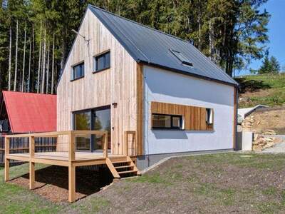 Ferienhaus kaufen in 38226 Horní Planá