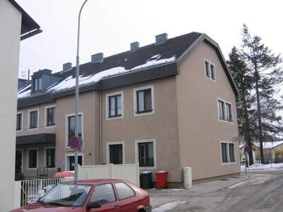 Wohnung mieten in 3150 Wilhelmsburg (Bild 1)