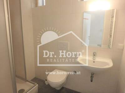 Altbauwohnung mit Balkon mieten in 8010 Graz (Bild 5)
