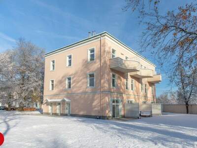 Büro / Praxis mieten in 2320 Schwechat