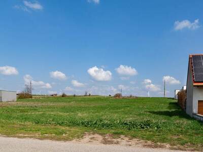 Grundstück kaufen in 7100 Neusiedl