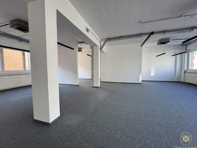 Gewerbeobjekt mieten in 1100 Wien (Bild 3)