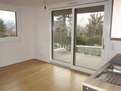 Terrassenwohnung kaufen in 1190 Wien (Bild 3)