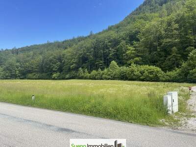 Grundstück kaufen in 4645 Grünau